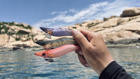 Seayo Squid Jig Dragon