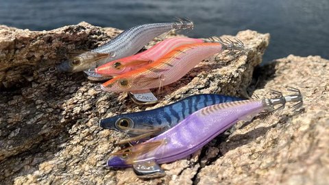Seayo Squid Jig Dream series