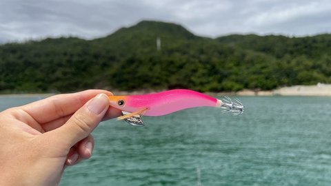 Seayo Squid Jig Phantom